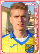 Nicola Gambini