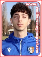 Mario Stefanelli