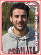 William D'Amico